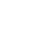 The Duke Dublin
