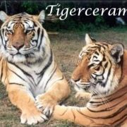 Tigerceramics