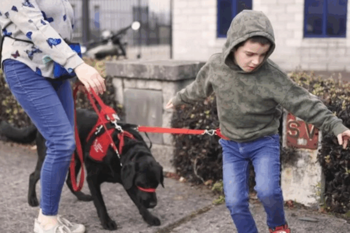 Autism Assistance Dogs Ireland