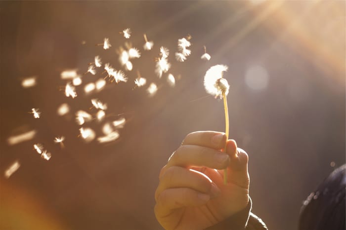 Breeze Solution focused Hypnotherapy