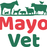 Duiske Veterinary Centre