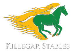Killegar Stables