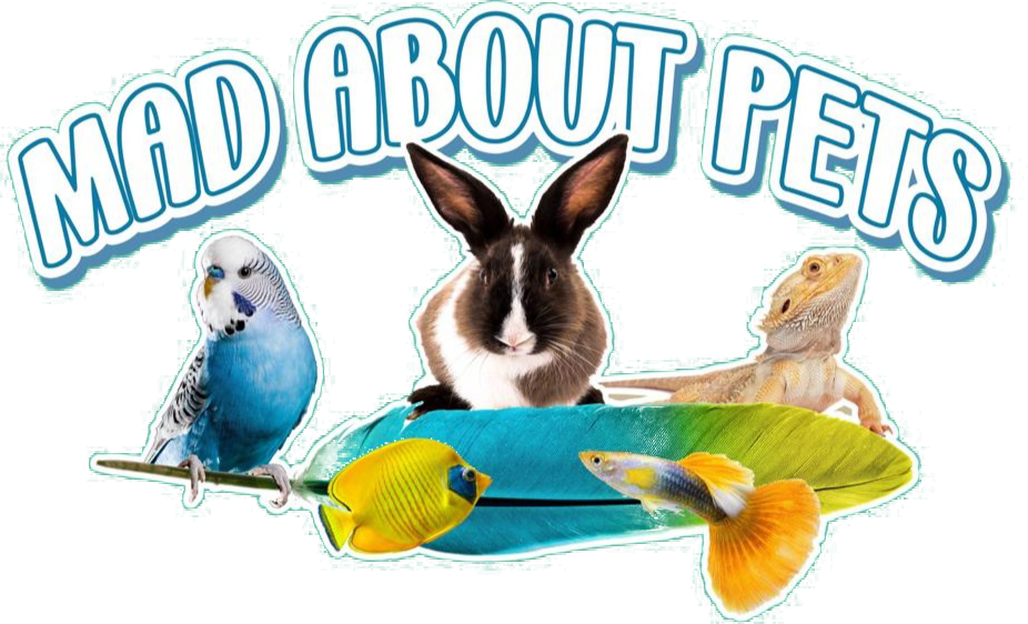 Mad About Pets