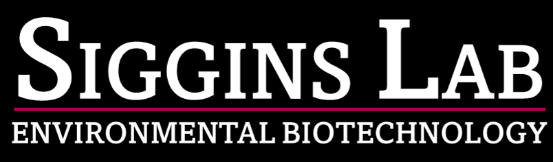 Siggins Lab