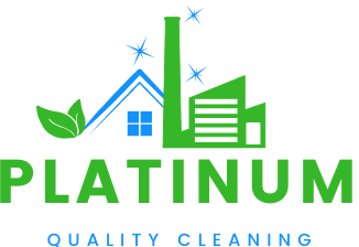 PLATINUM CLEANING