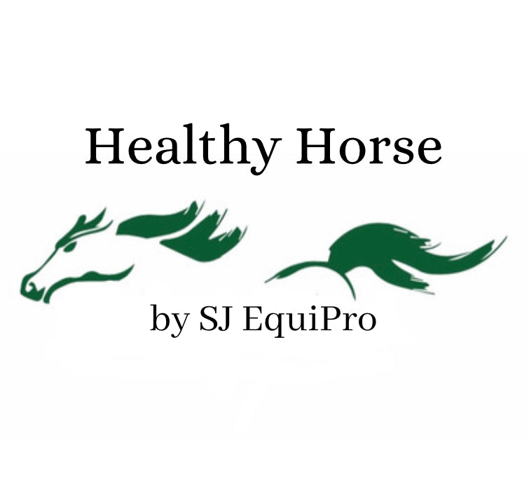 Healthy Horse