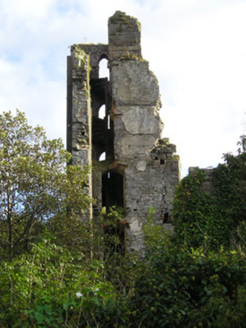 Plassey Mills Ruins