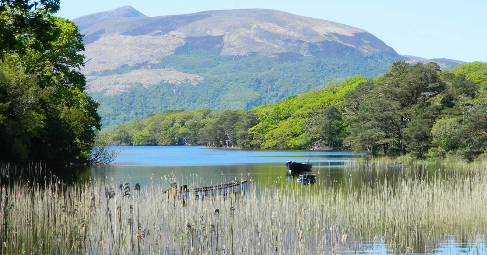 Wild Atlantic Tours