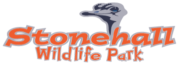 Stonehall Visitor Farm
