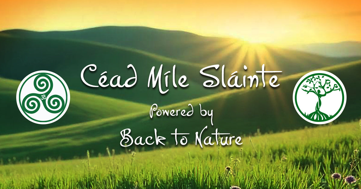 Back to Nature Health Store