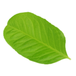 GardenPro