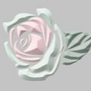 Kanes Florist