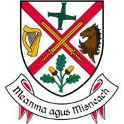 Kildare County Council Transport