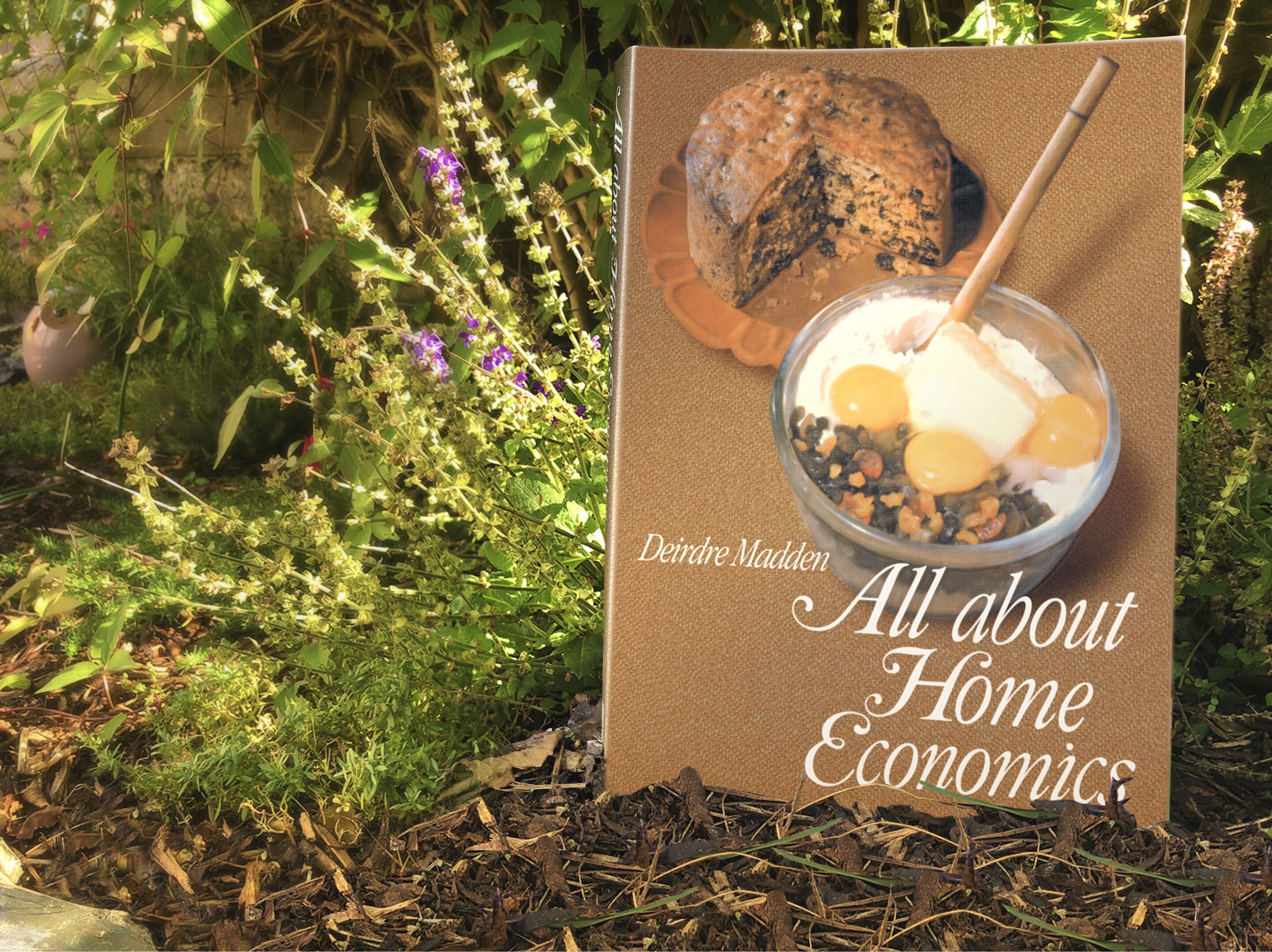 All About Home Economics