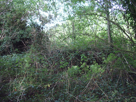 Templemichael Parish Church & Graveyard (Ruin)
