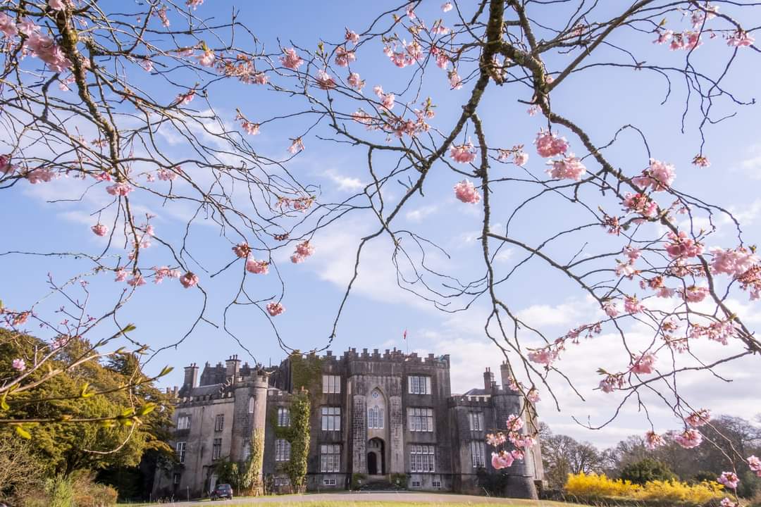 Birr Castle Demesne