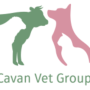 Cavan Vet Group - Finbarr Kiernan Farm Vets