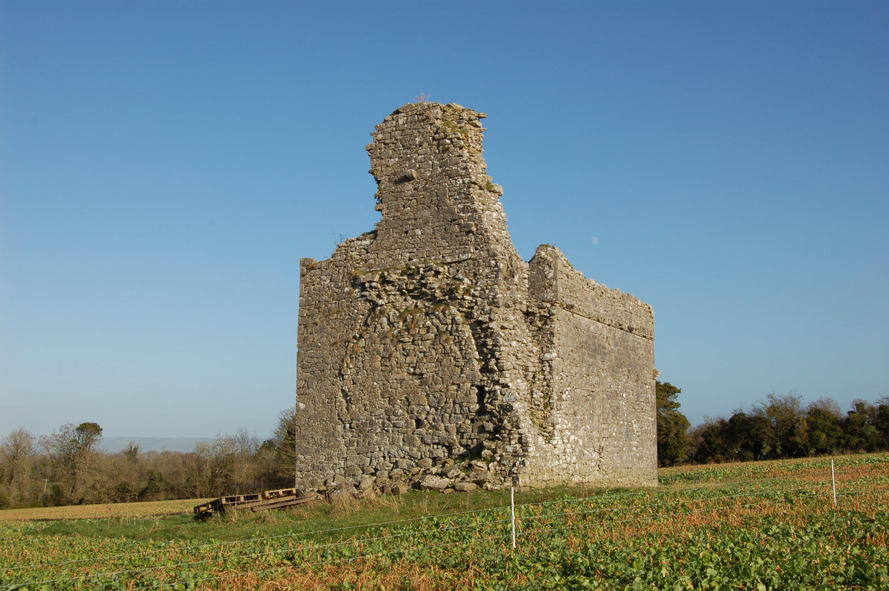 Ballylarkin Abbey