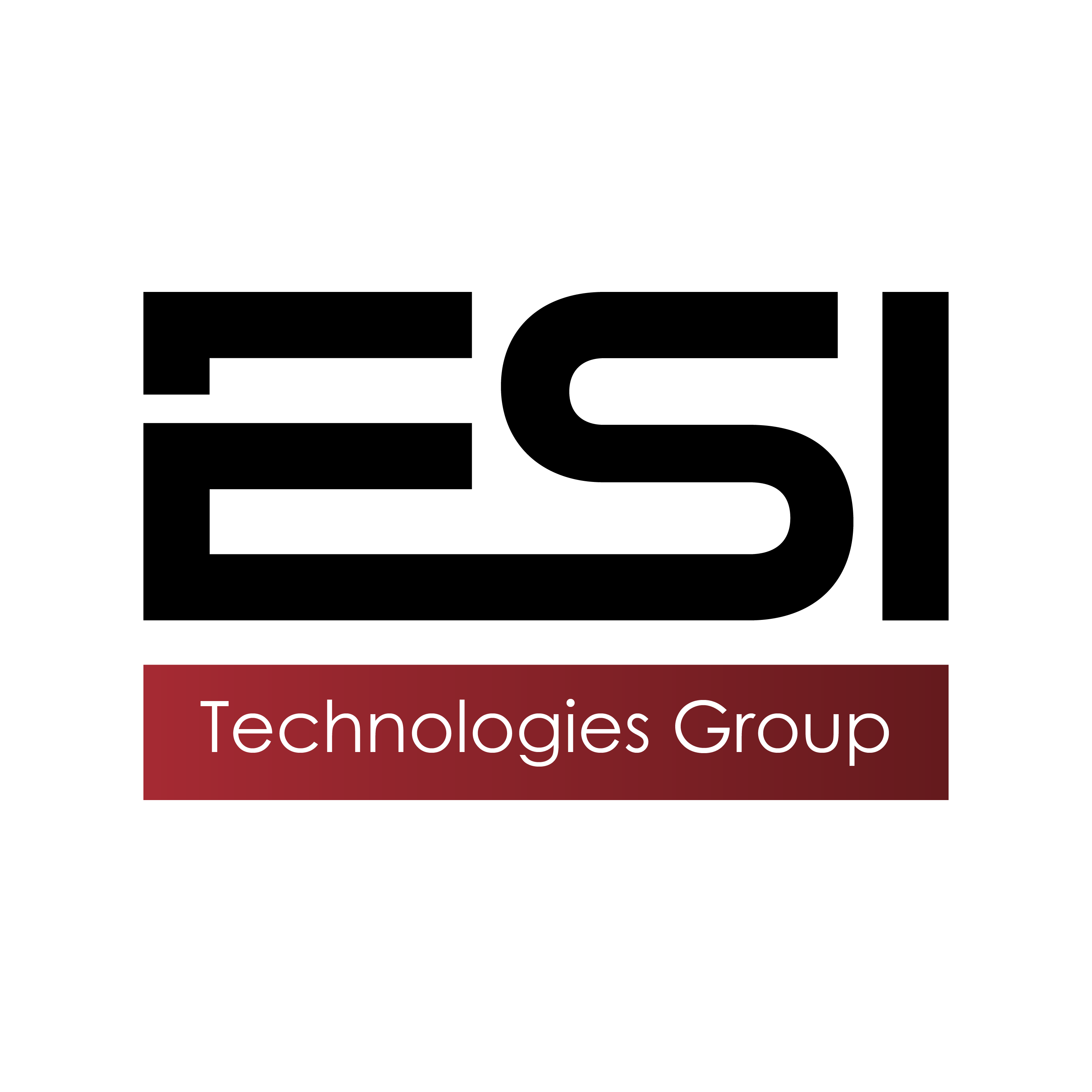 ESI Technologies Group
