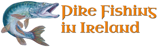 Tir na Spideoga Guesthouse