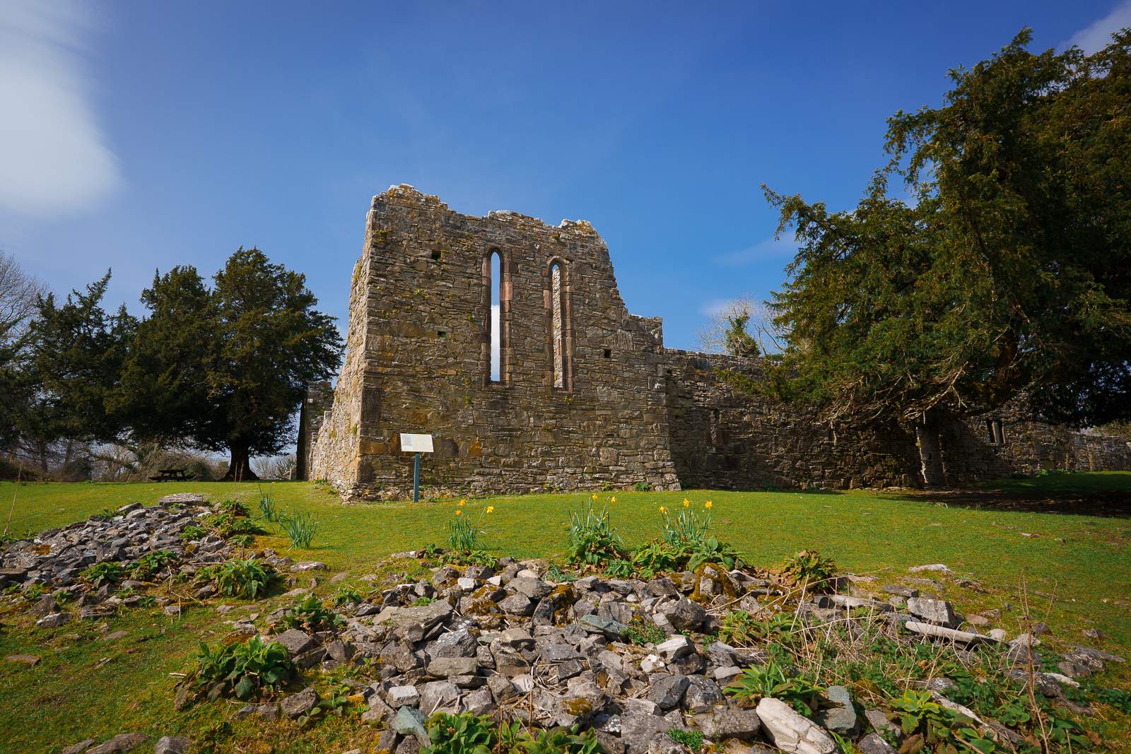 Visit Innisfallen Island