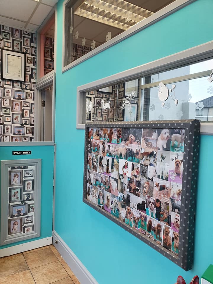 Fitzsimons Grooming Parlour