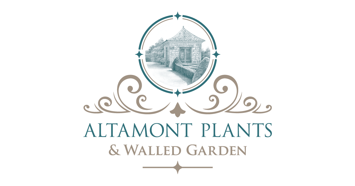 Altamont Plants