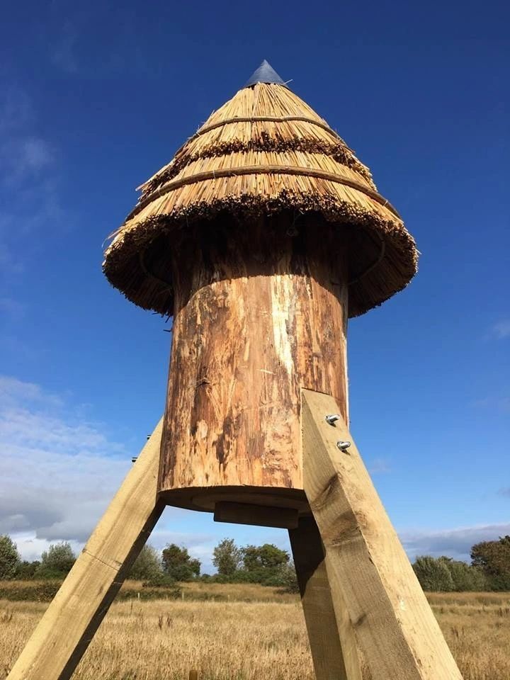 Boomtreebees ltd