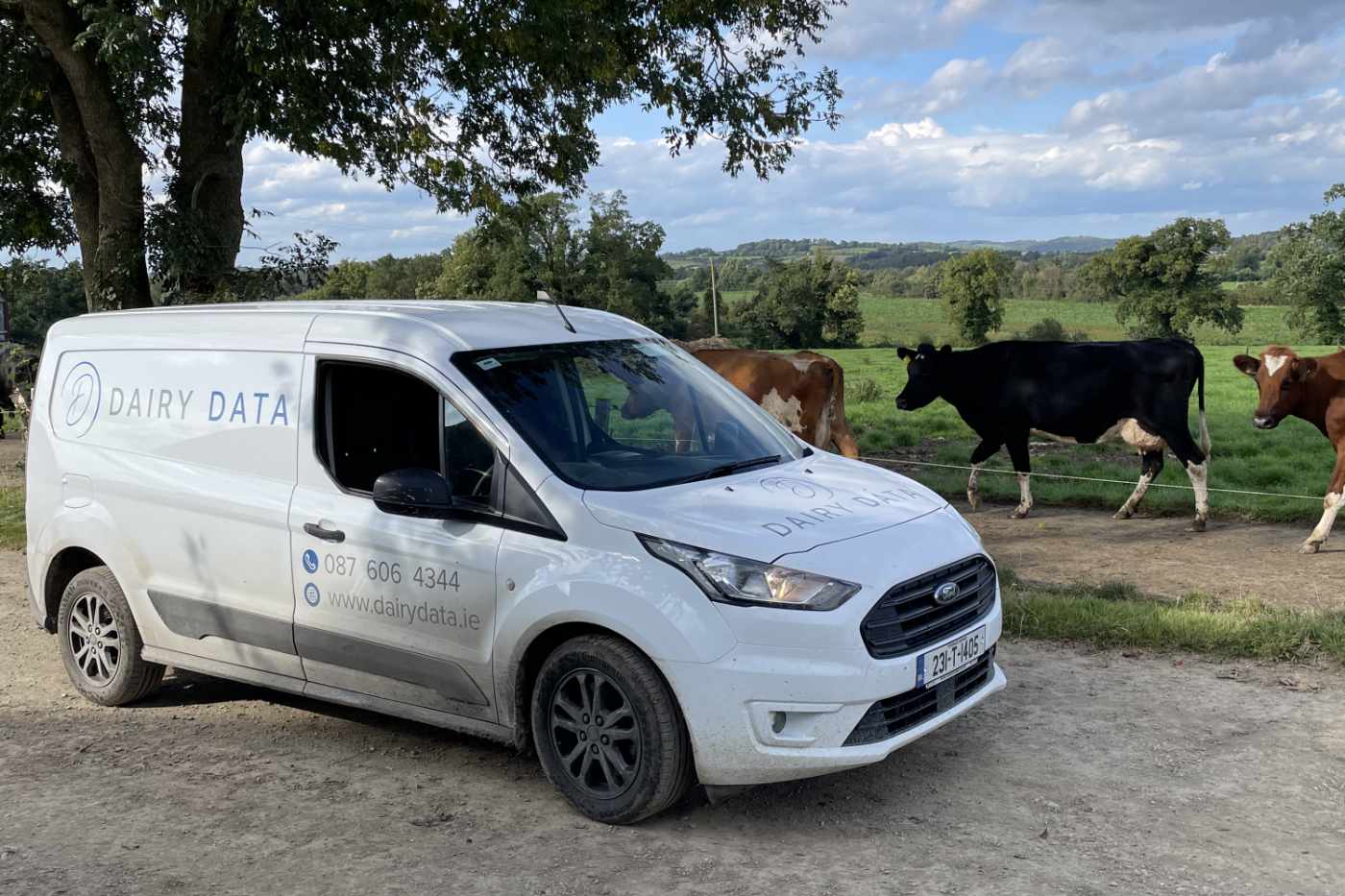Dairy Data