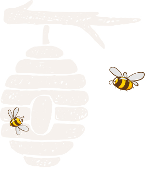 Killarney Bee Walks and Honey