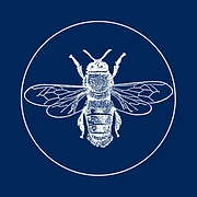 Bee Media | Social Media Management