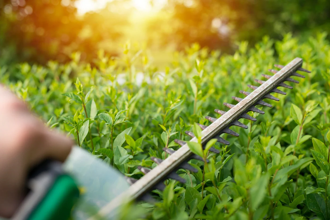 Wicklow Landscaping Services