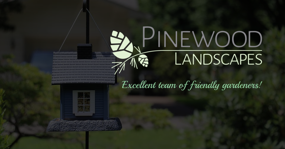 Pinewood Landscapes