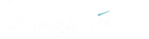 Siamsa Tíre - Theatre & Arts Centre