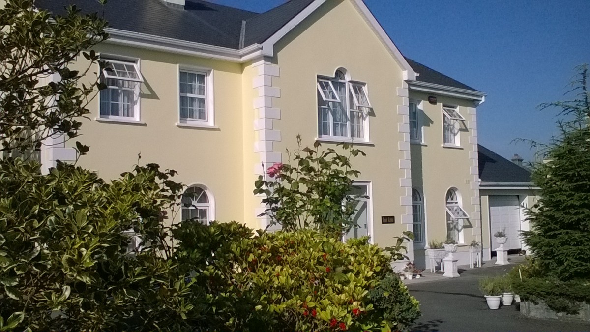Mark Professional Painter & Handyman Service
