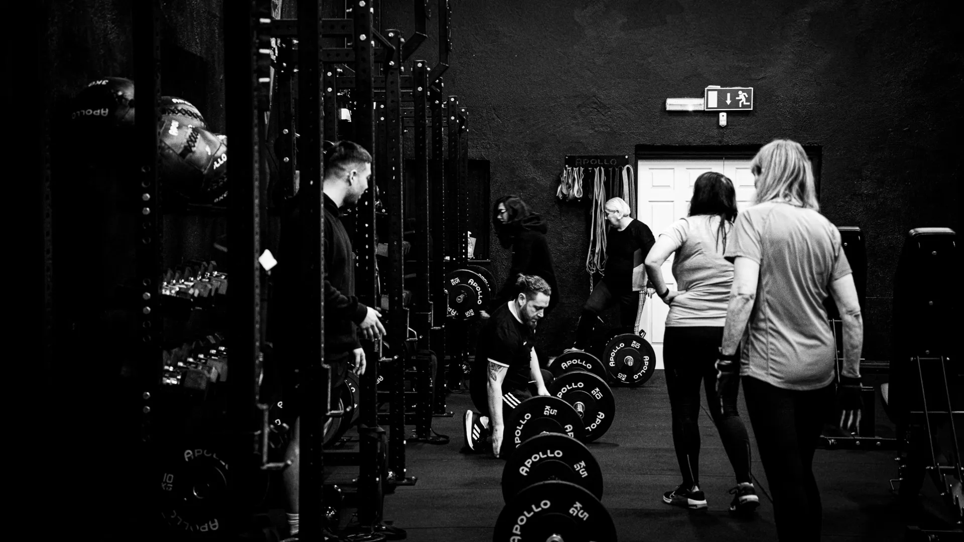 Tailormade Coaching Fethard