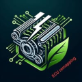 Ecu Tuning & Remapping