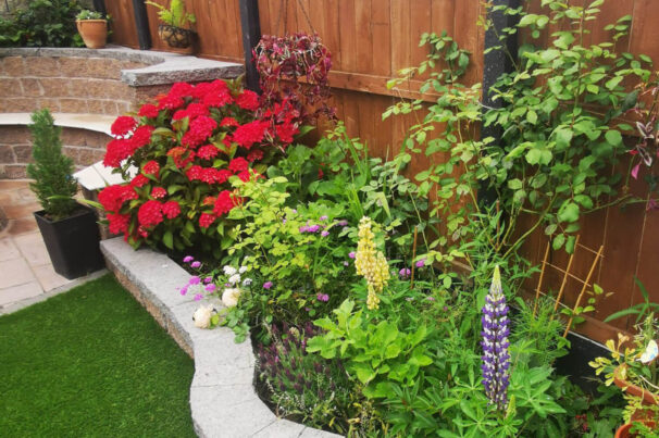 Lush Landscaping Cork