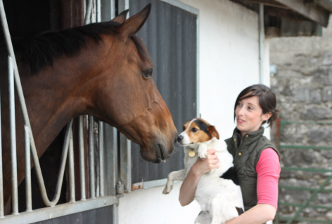 Ruth Boland Animal Physiotherapy