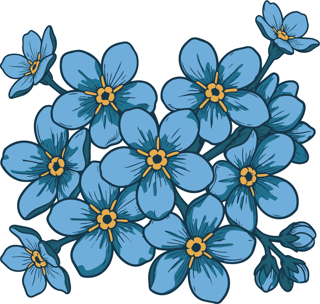 Forget Me Not
