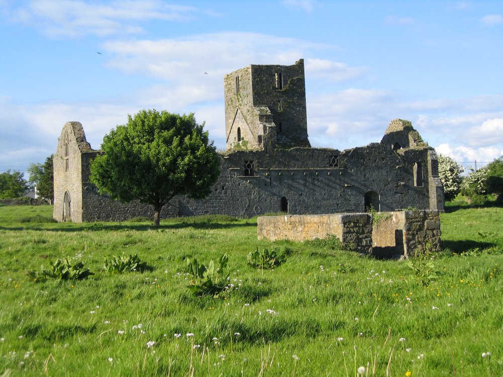 Callan Augustinian Friary/Mainistir Agaistíneach Challainn