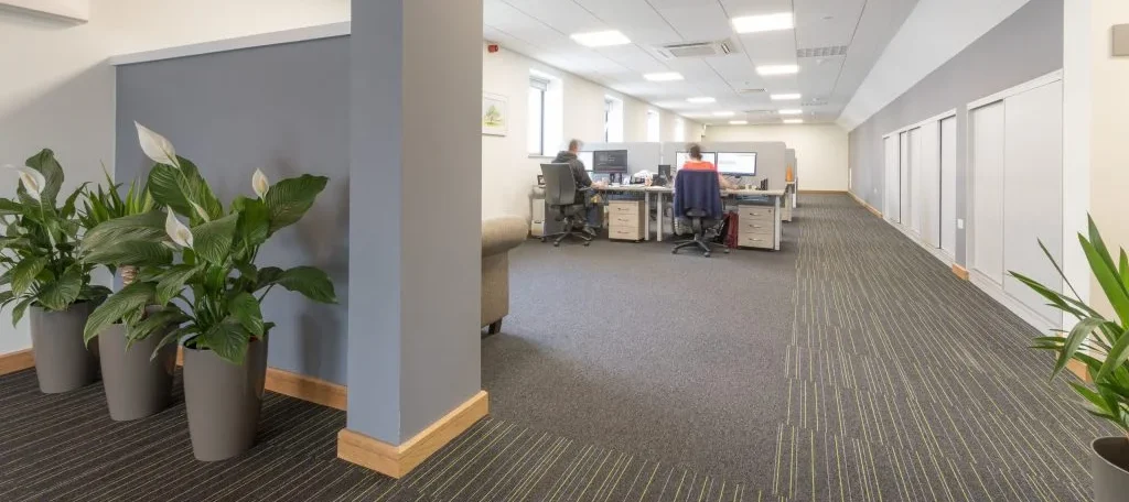 Catalpa Underwriting Limited