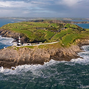 Kinsale Sea Safari