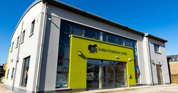 Damer Veterinary Clinic