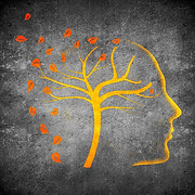 Suziebyrnepsychotherapy
