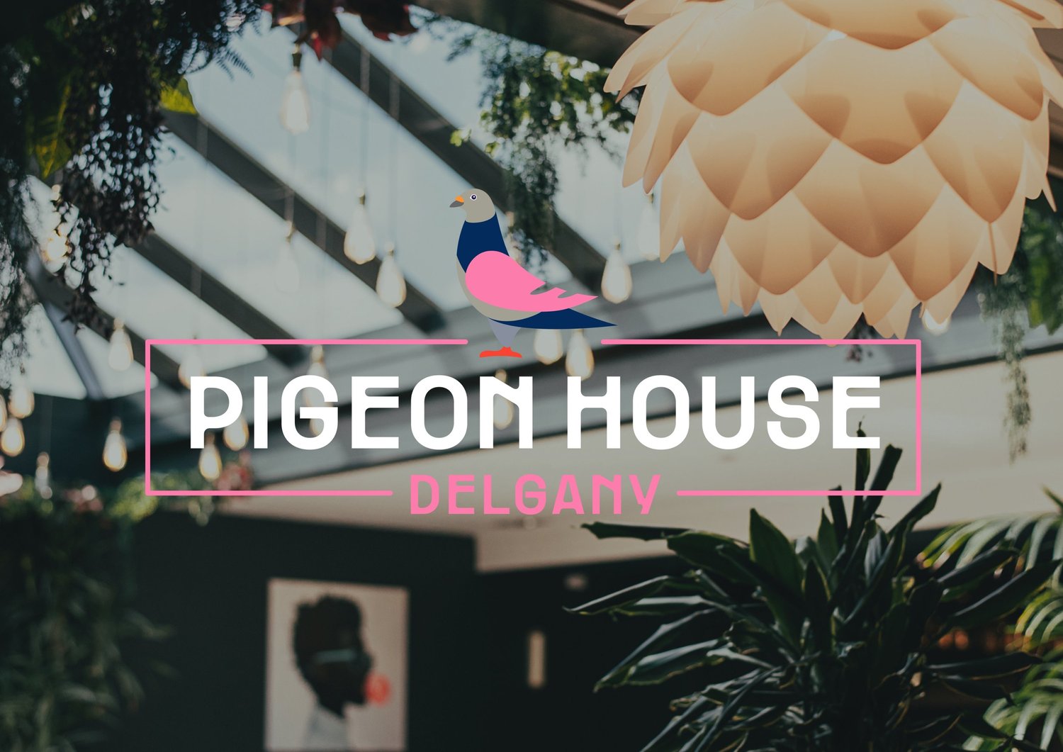 Pigeon House Delgany
