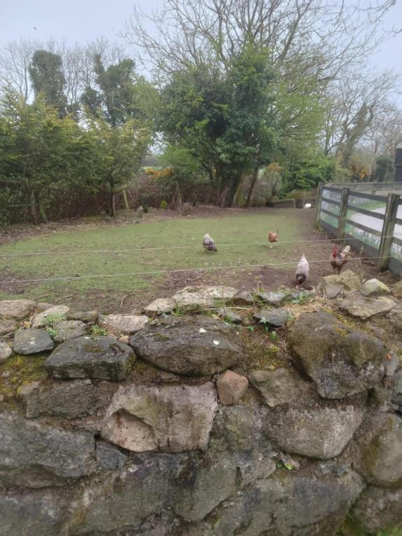 Birds Cottage
