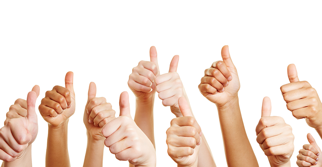 French Tutor - 1:1 French Lessons
