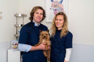 Fox Veterinary Clinic