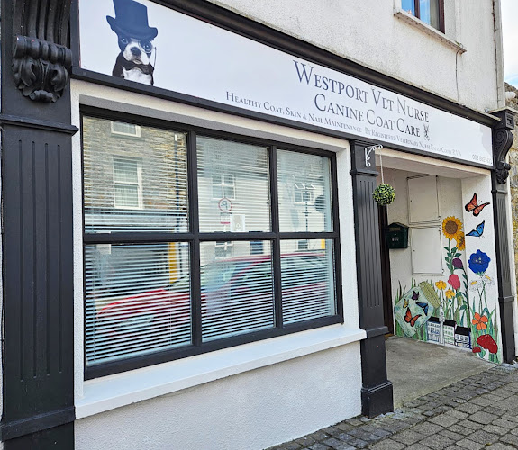 Westport Vet Nurse